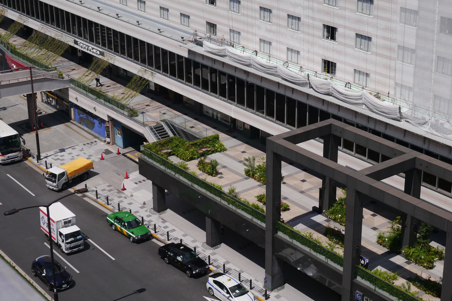 東急プラザ赤坂オープンコリドール「野に咲く花の回廊」