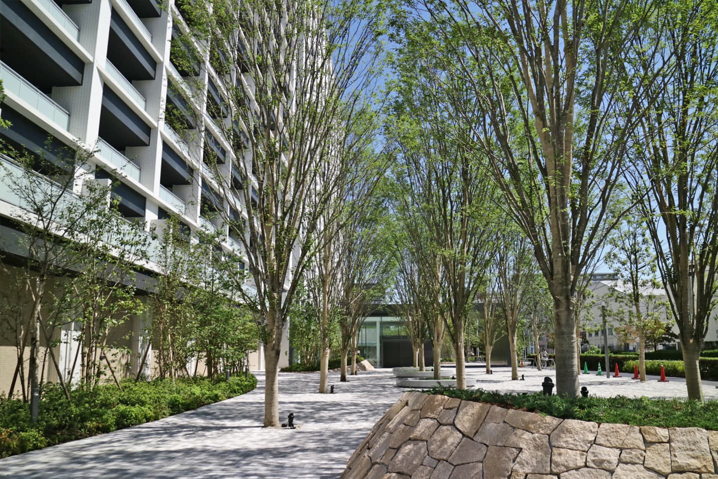 ブランズシティ品川勝島