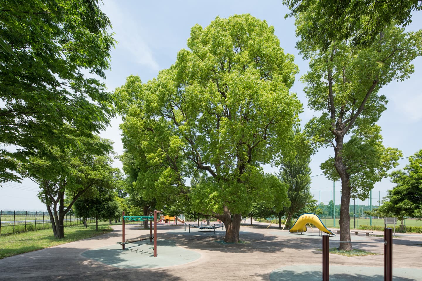 武蔵野の森公園